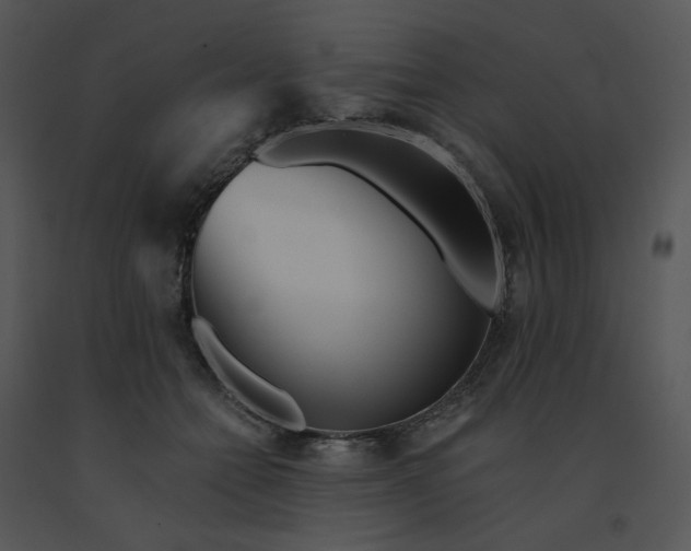 X0000091510558200708311229