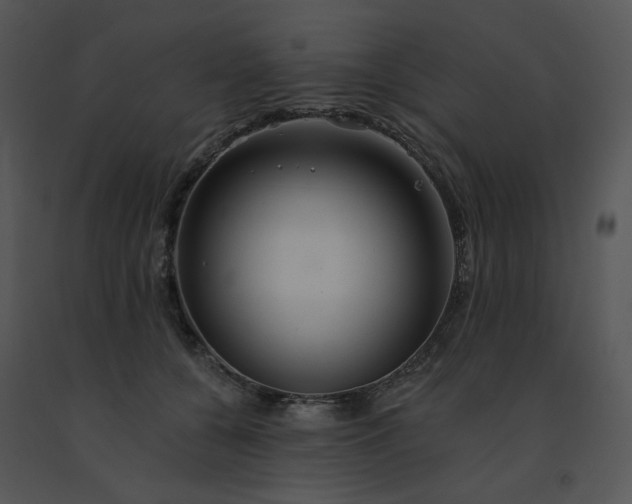 X0000091510560200708311229