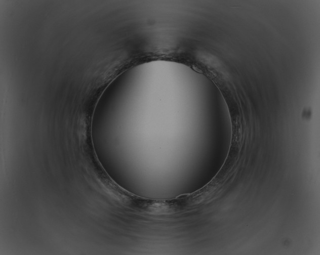 X0000091510562200708311229