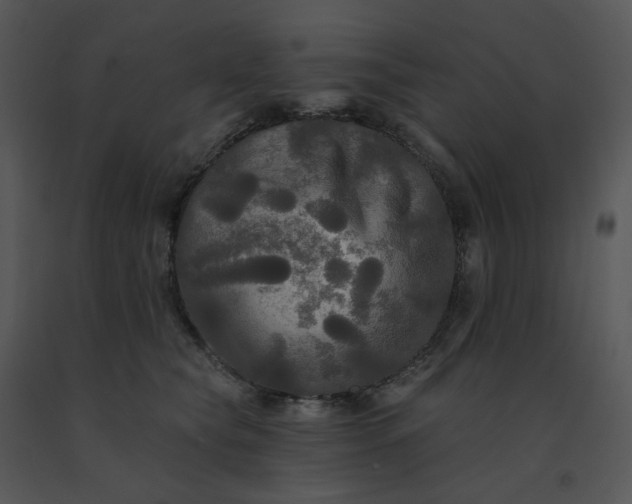 X0000091510565200708311229