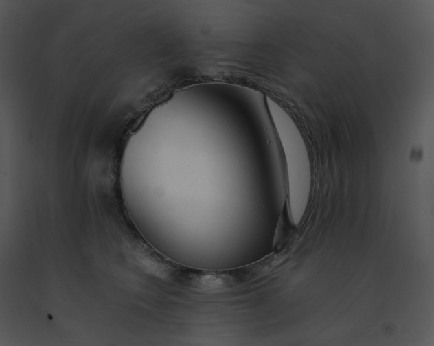 X0000091510566200708311229