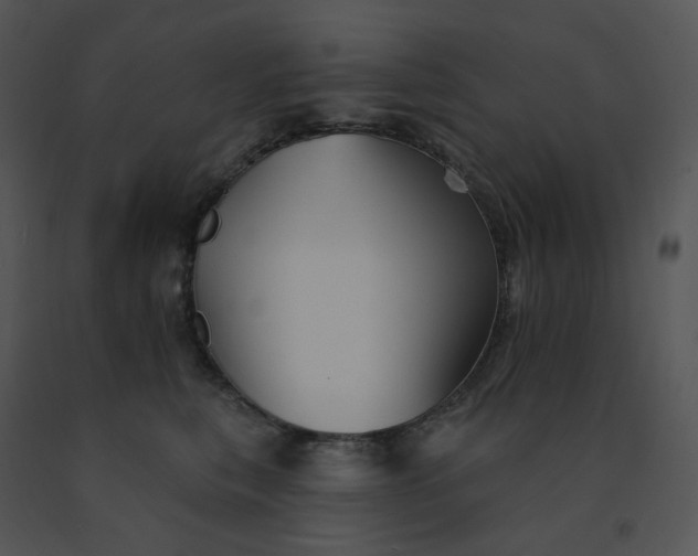 X0000091510567200708311229