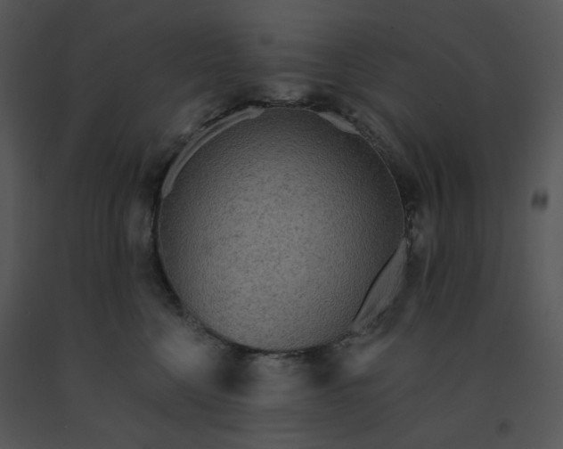 X0000091510568200708311229