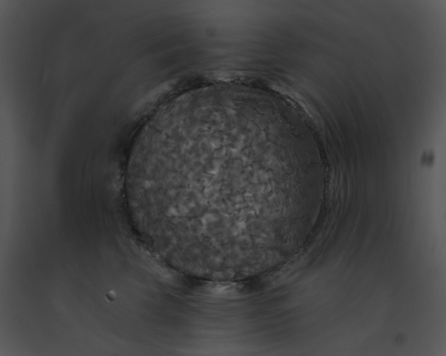 X0000091510569200708311229