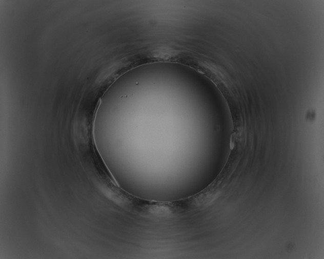 X0000091510572200708311230