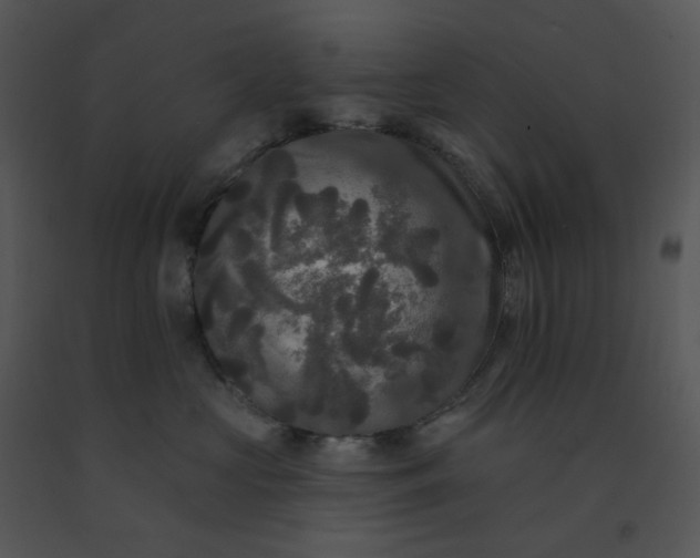 X0000091510573200708311230