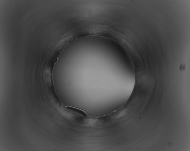 X0000091510575200708311230