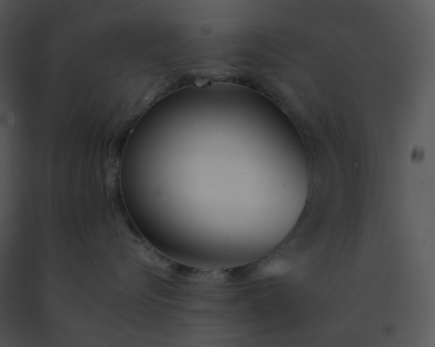 X0000091510576200708311230