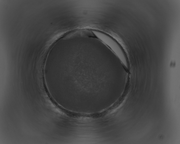 X0000091510577200708311229