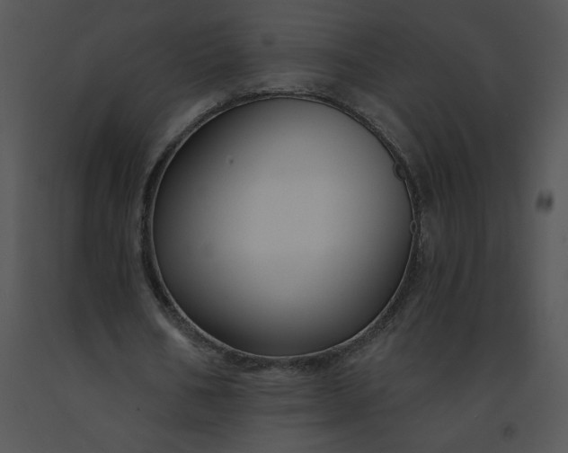 X0000091510578200708311229