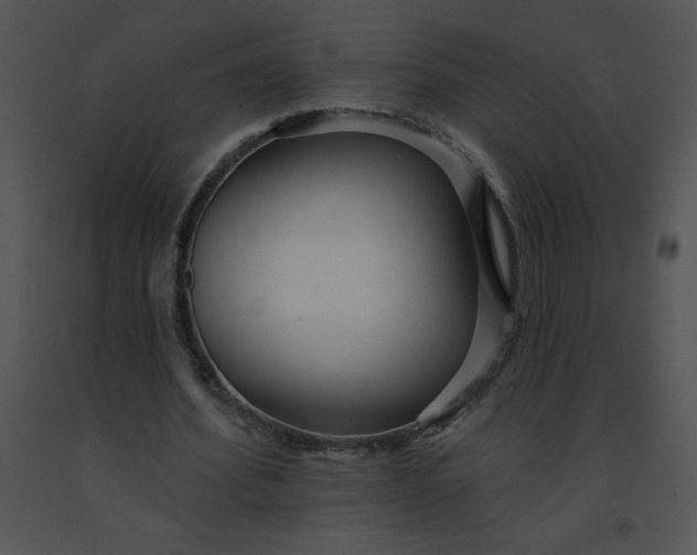 X0000091510580200708311229