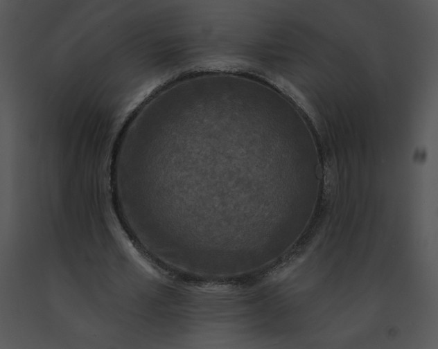 X0000091510581200708311229