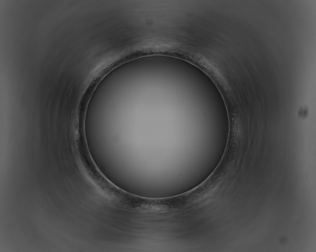 X0000091510582200708311229