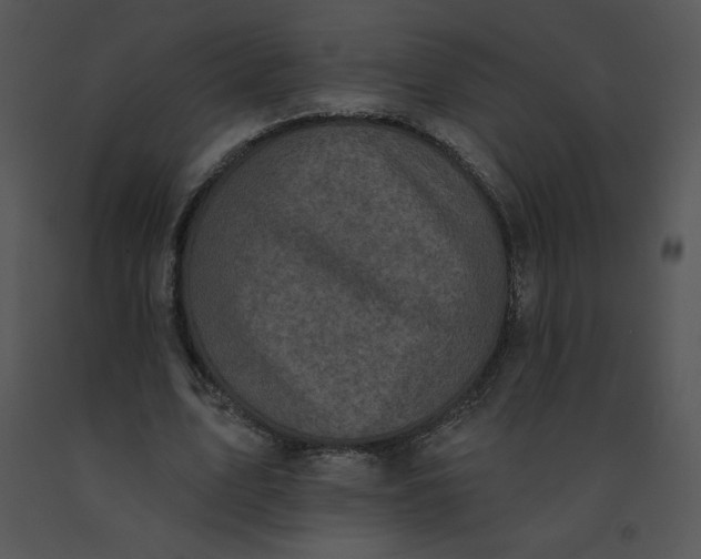 X0000091510583200708311229