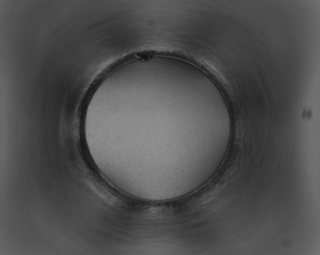 X0000091510584200708311229