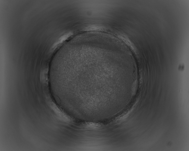 X0000091510585200708311229