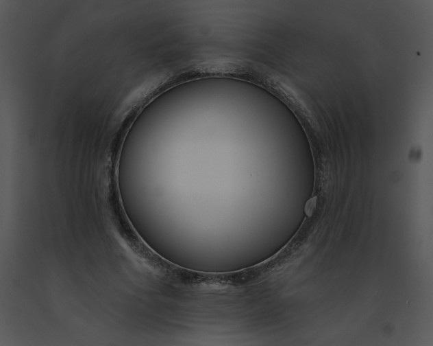 X0000091510586200708311229