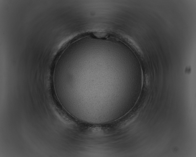 X0000091510588200708311229