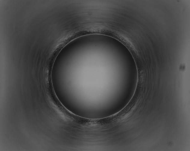 X0000091510589200708311229