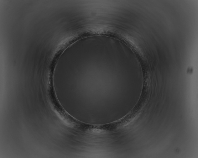 X0000091510590200708311229