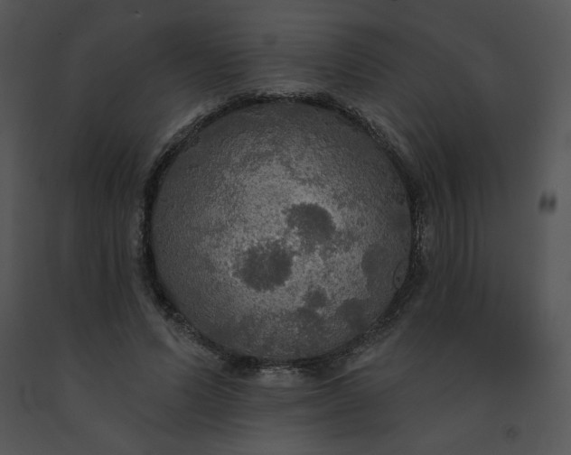 X0000091510591200708311229