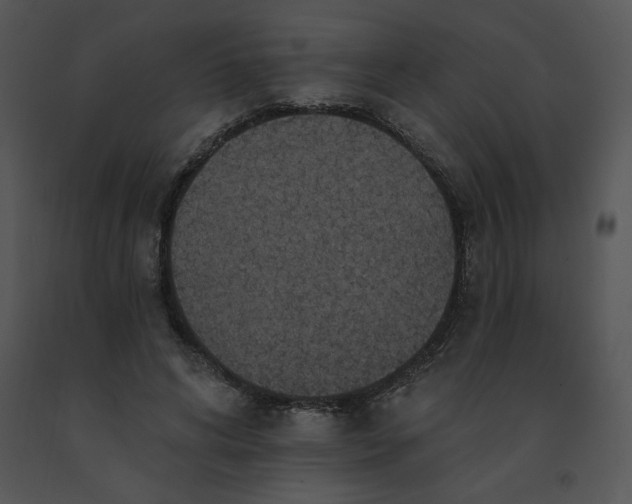 X0000091510592200708311229