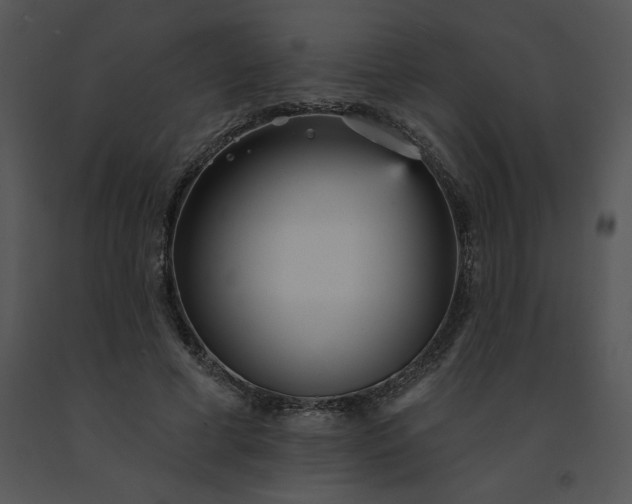 X0000091510593200708311229