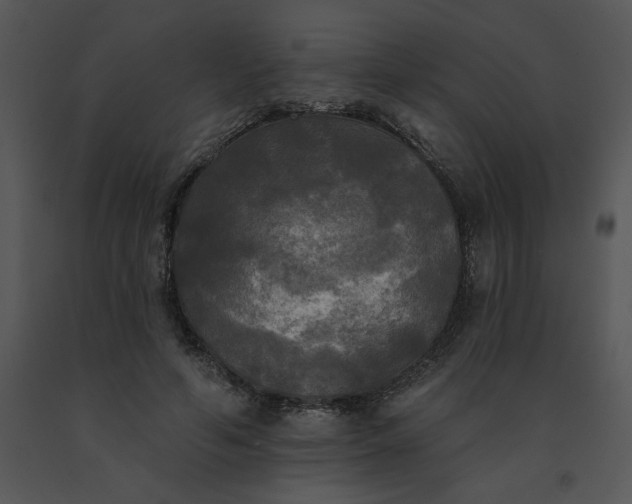 X0000091510594200708311229