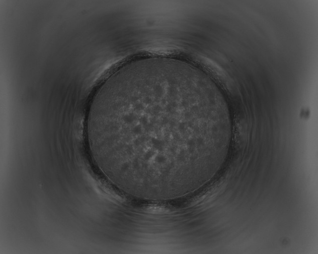 X0000091510596200708311229