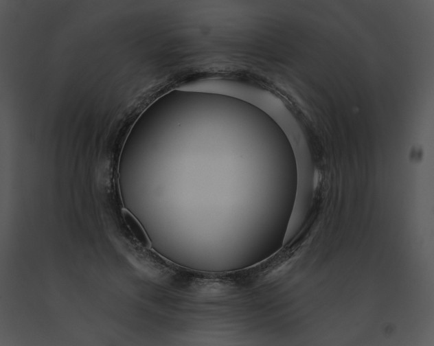 X0000091510597200708311229