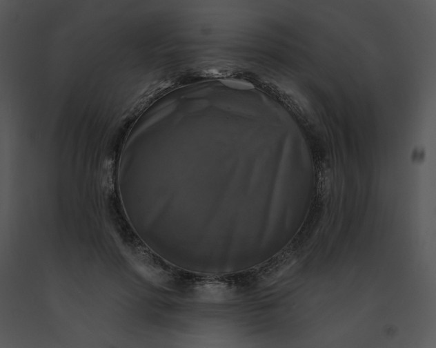 X0000091510598200708311229