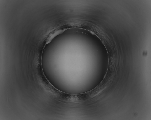 X0000091510600200708311229