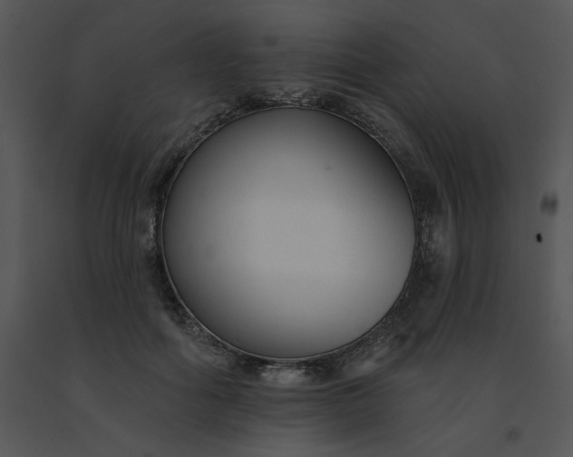 X0000091510602200708311229