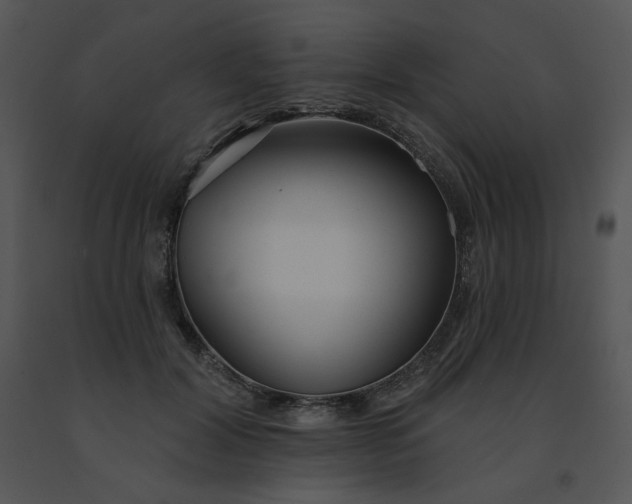 X0000091510604200708311228