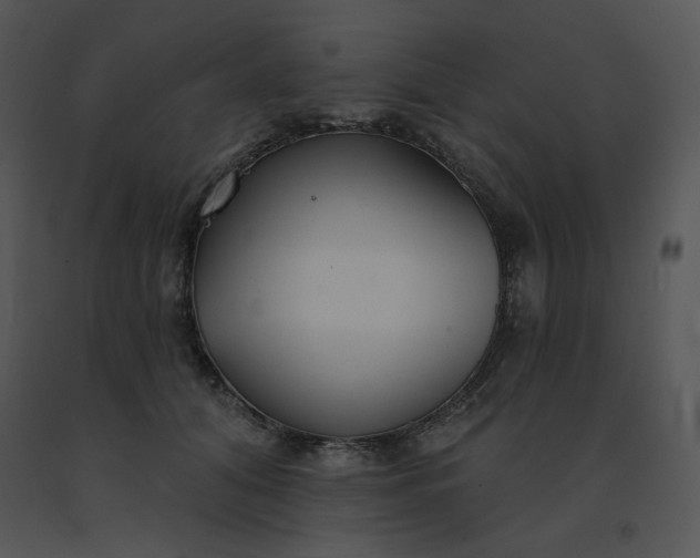 X0000091510608200708311228