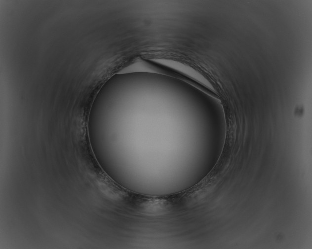 X0000091510609200708311228