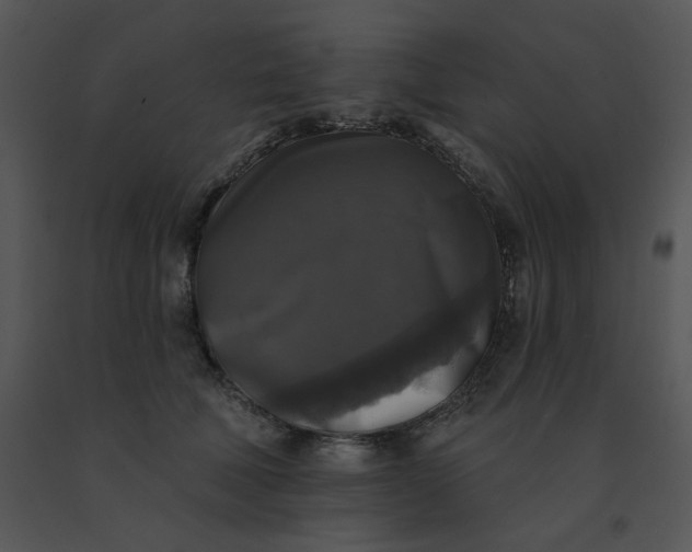 X0000091510610200708311228