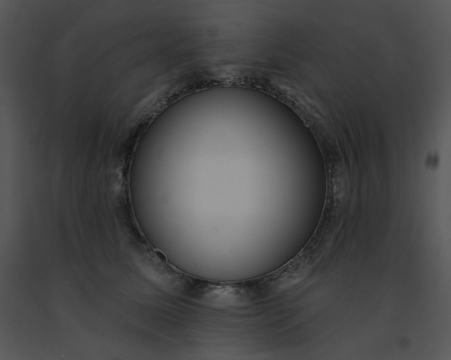 X0000091510611200708311228