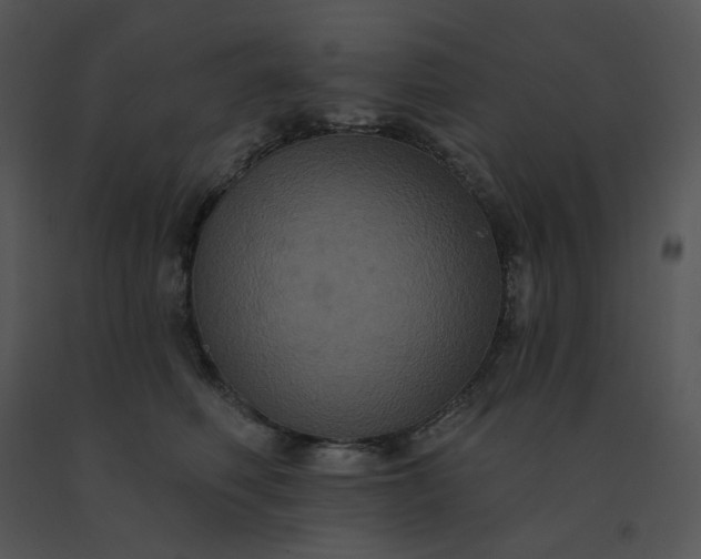 X0000091510614200708311228