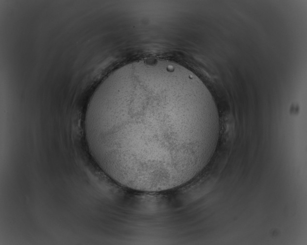 X0000091510615200708311228