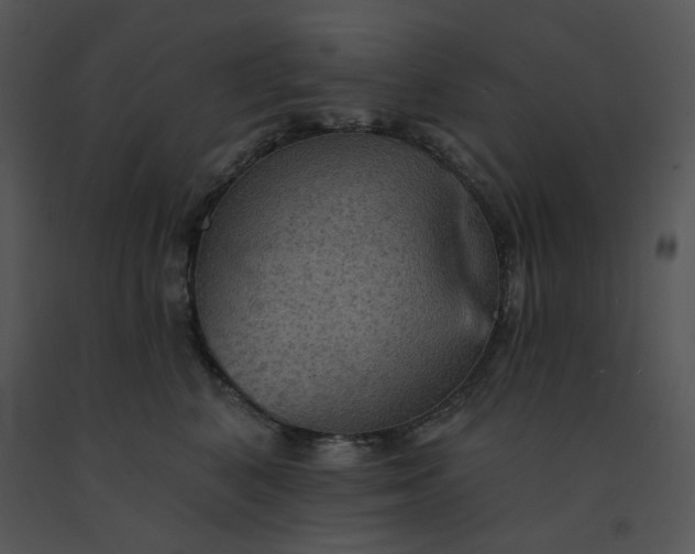 X0000091510616200708311228