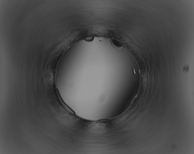 X0000091510617200708311228