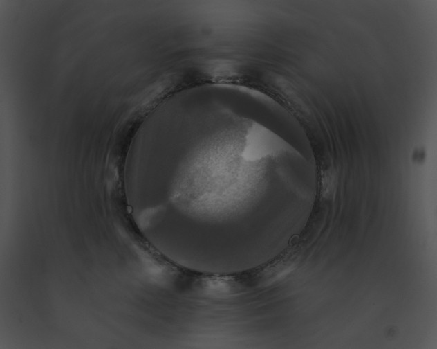 X0000091510618200708311228