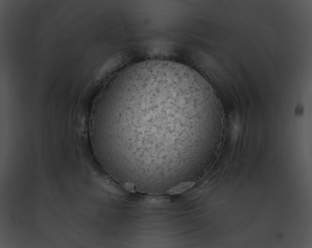 X0000091510619200708311228