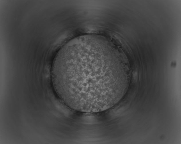 X0000091510620200708311228