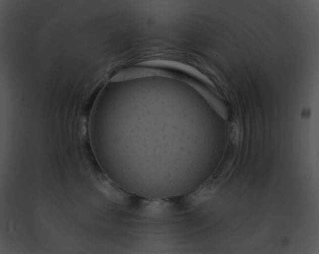 X0000091510621200708311228