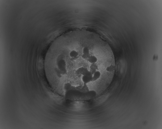 X0000091510623200708311228