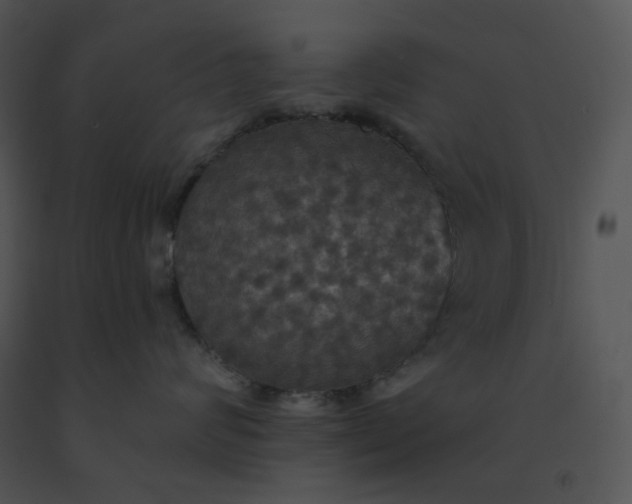 X0000091510624200708311228