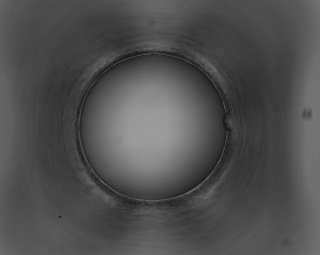 X0000091510625200708311227