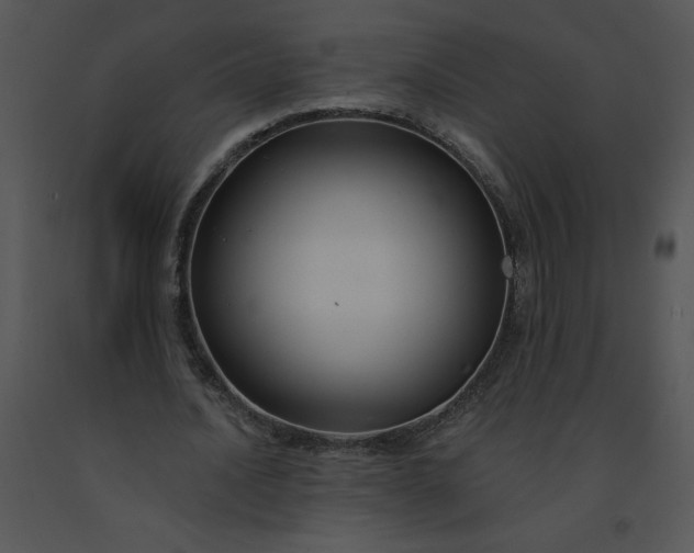 X0000091510628200708311227